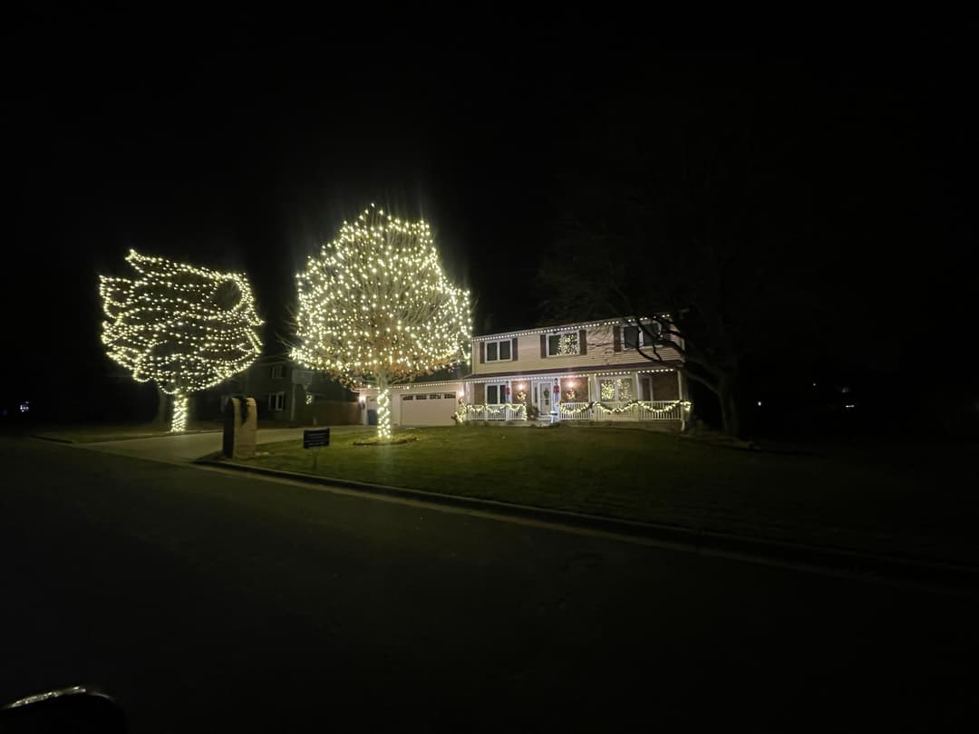 Festively lit house with illuminated trees, showcasing vibrant holiday decorations at night.